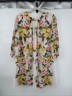 EvaMendes fromNY&C Euro Summer Cottagecore White Sheer Lemon&Floral L/SDress SzL